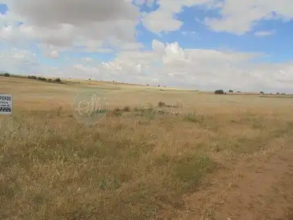 Finca rústica en venta en Brieva