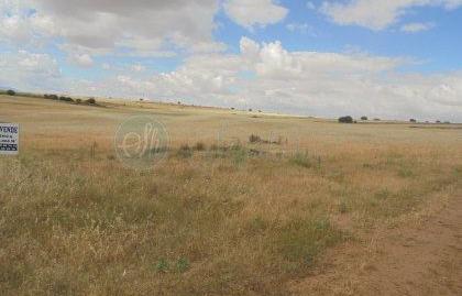 Foto 2 de Finca rústica en venda a N/a, Brieva, Segovia