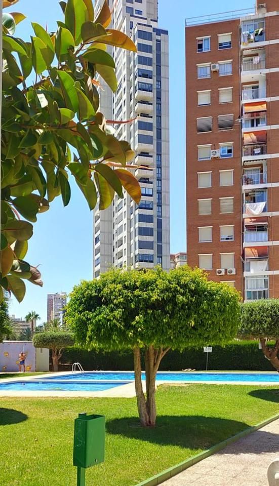 Vista exterior de Pis en venda en Benidorm amb Jardí privat, Piscina i Moblat