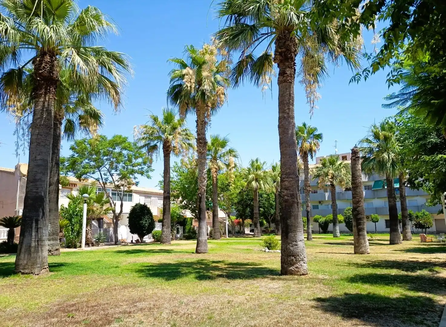 Vista exterior de Casa o chalet en venta en Orihuela con Aire acondicionado, Terraza y Trastero