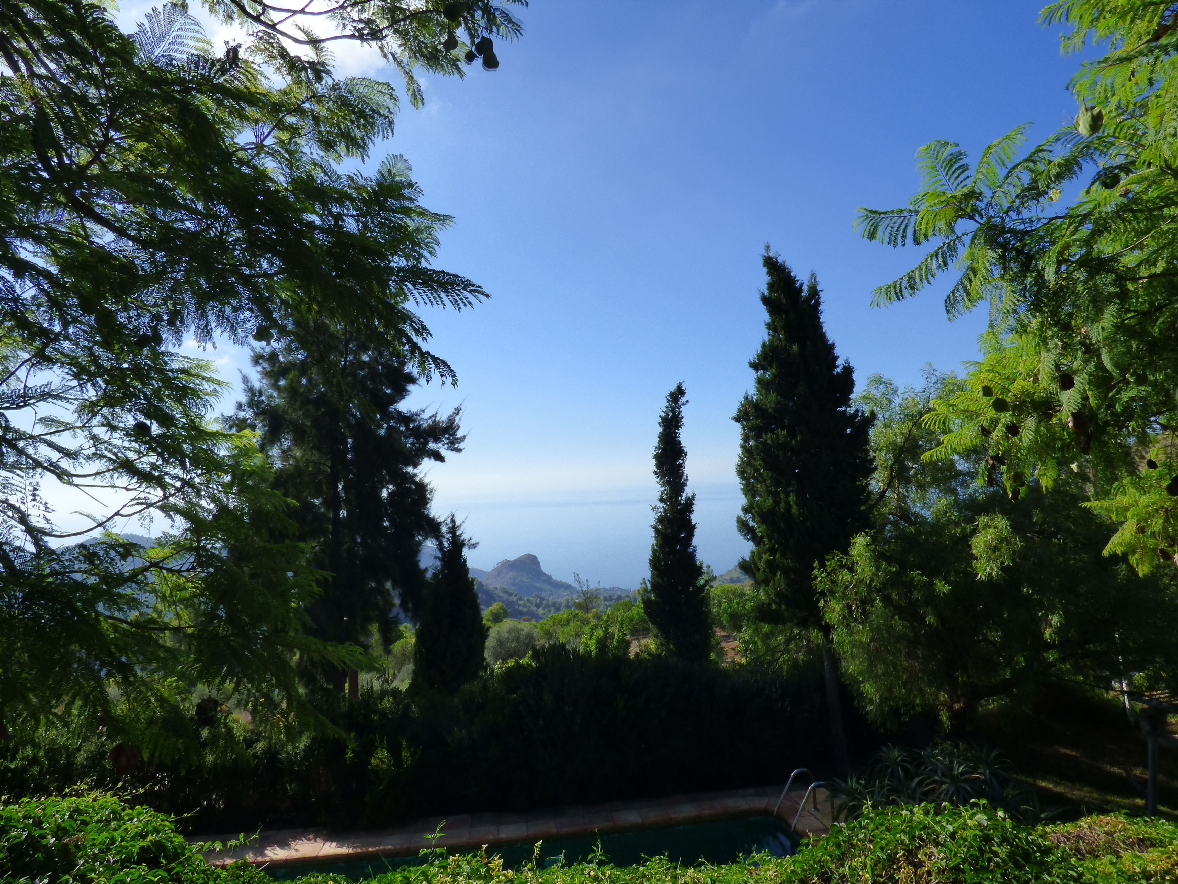 Garden of House or chalet for sale in Nerja  with Private garden, Terrace and Swimming Pool