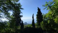 Garden of House or chalet for sale in Nerja  with Private garden, Terrace and Swimming Pool