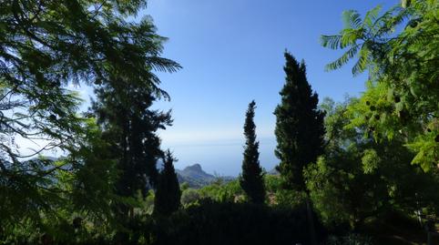 Foto 3 de Casa o xalet en venda a Avda Pescia - Ctra de Frigiliana, Nerja