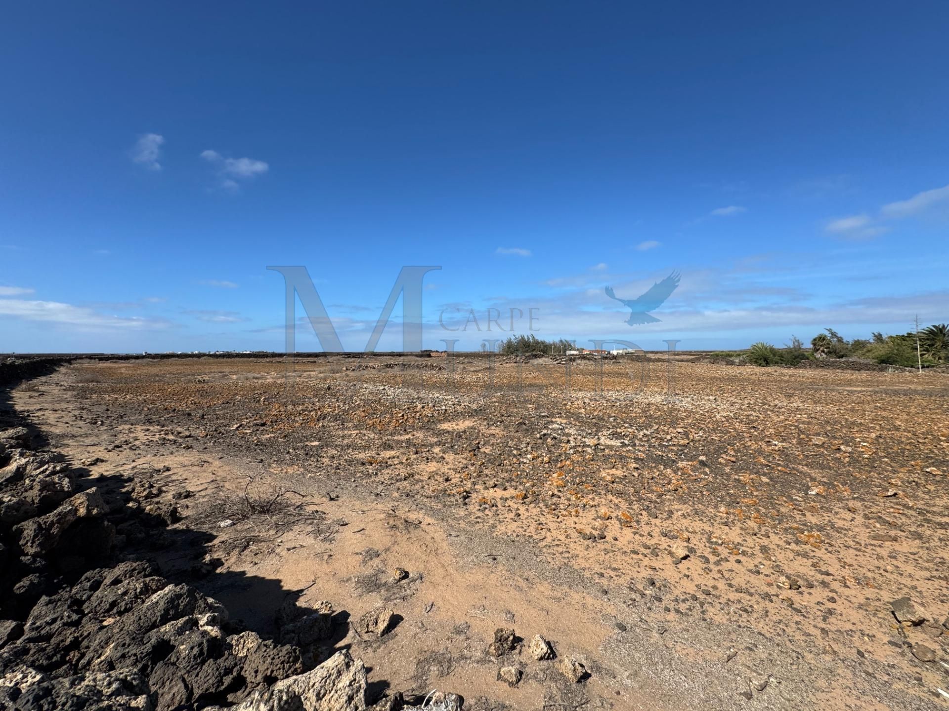 Land for sale in La Oliva