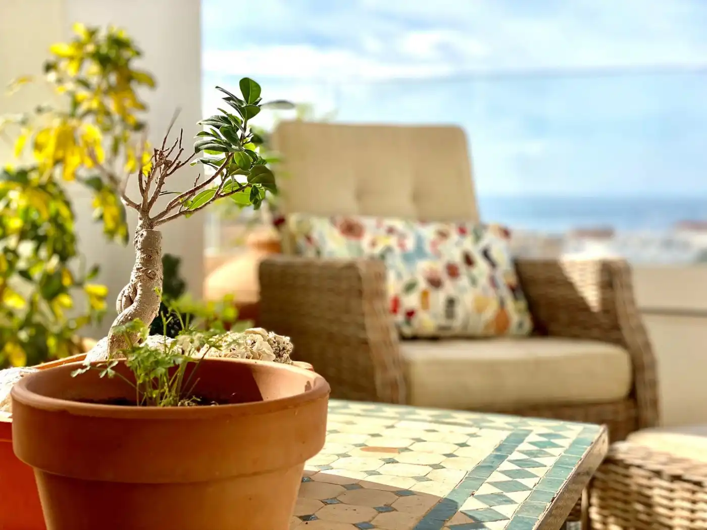 Flat with lift for sale in Alfonso Fernández Coronel, imagen 3