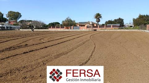 Foto 4 de Casa o xalet en venda a Cuatro Pinos - El Carmen, El Puerto de Santa María