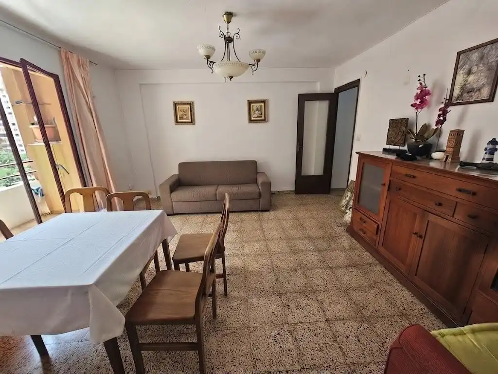 Sala d'estar de Pis de lloguer en Valencia amb Moblat i Balcó
