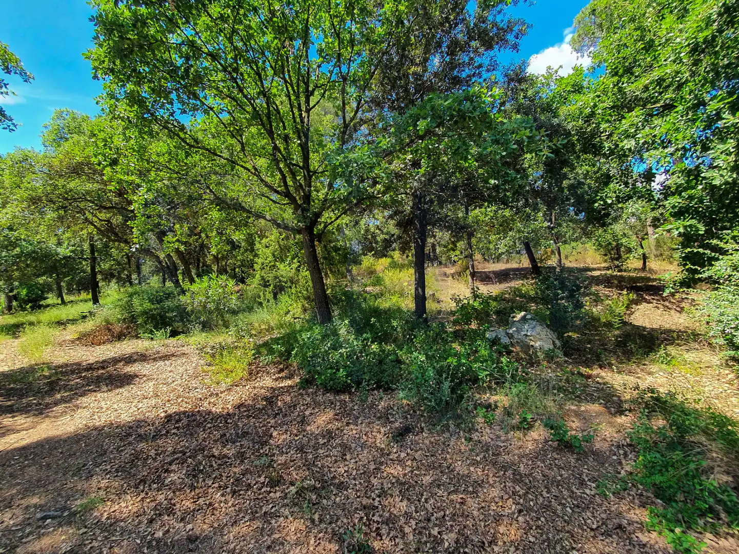 Villa con terrazza in vendita a Carrer Sot de les Vinyes, imagen 58
