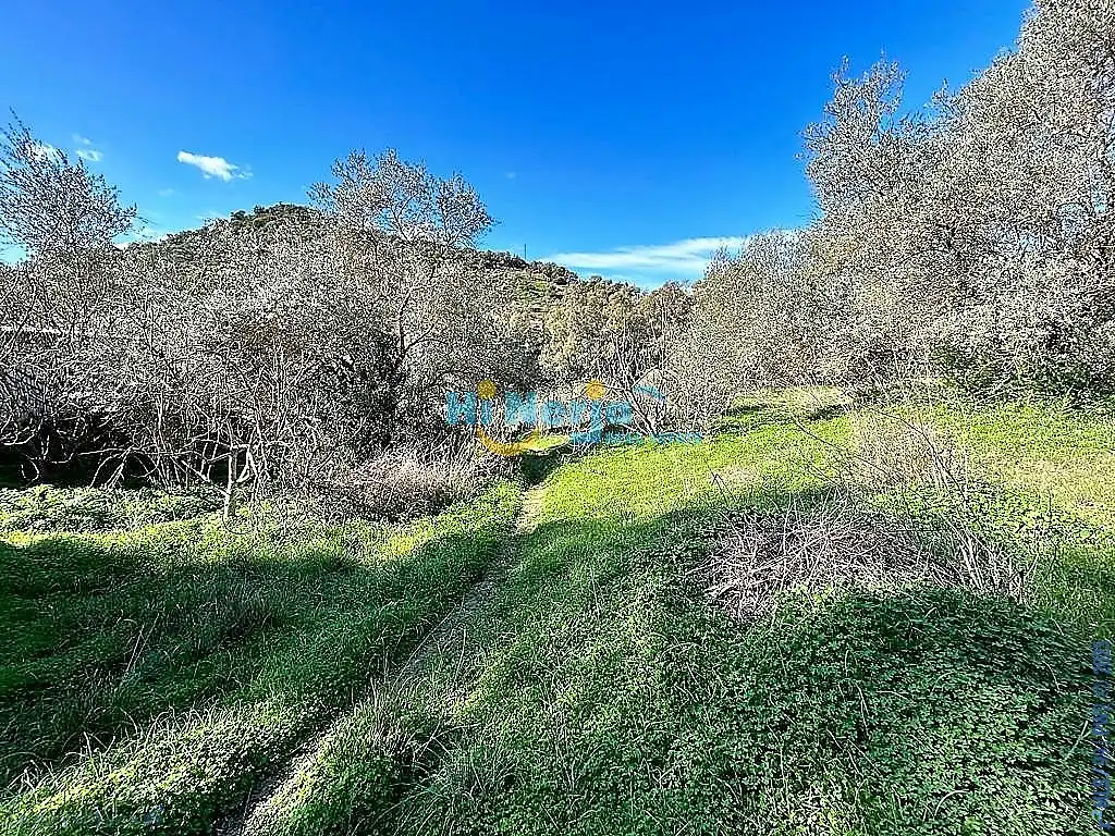 Maison à vendre à Comares, imagen 14