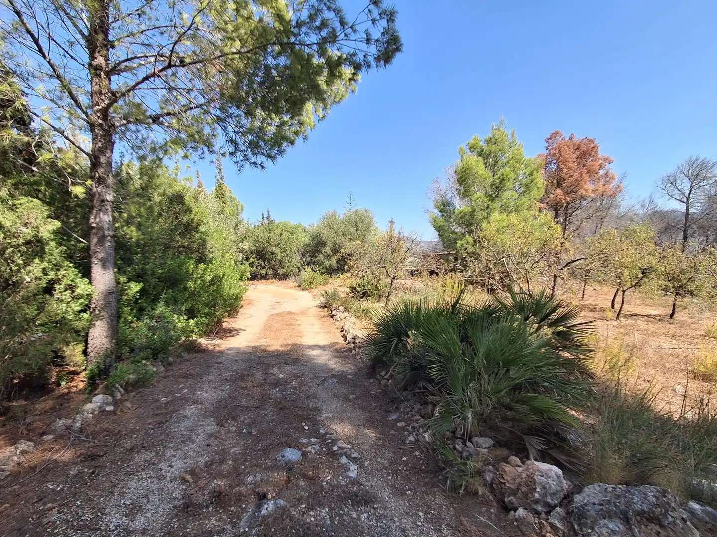 Houses for sale in Xerta