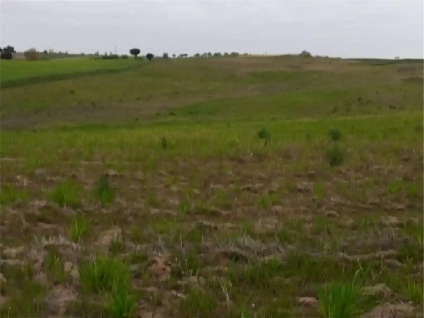 Land for sale in Escalona, Toledo