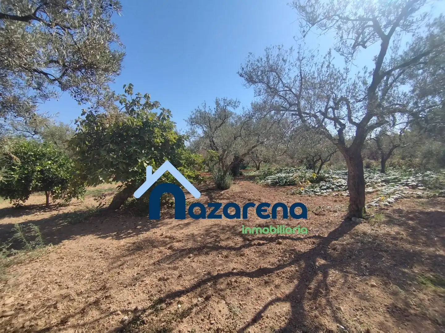 Rural land for sale in Oromana, imagen 5