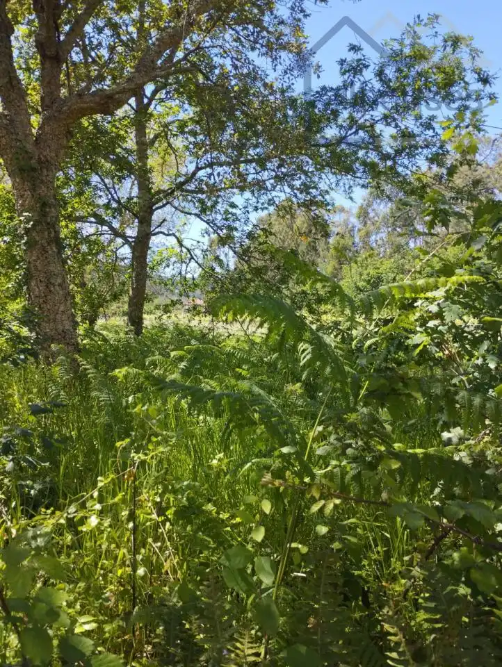 Terreno residenziale in vendita a O Rosal, imagen 16