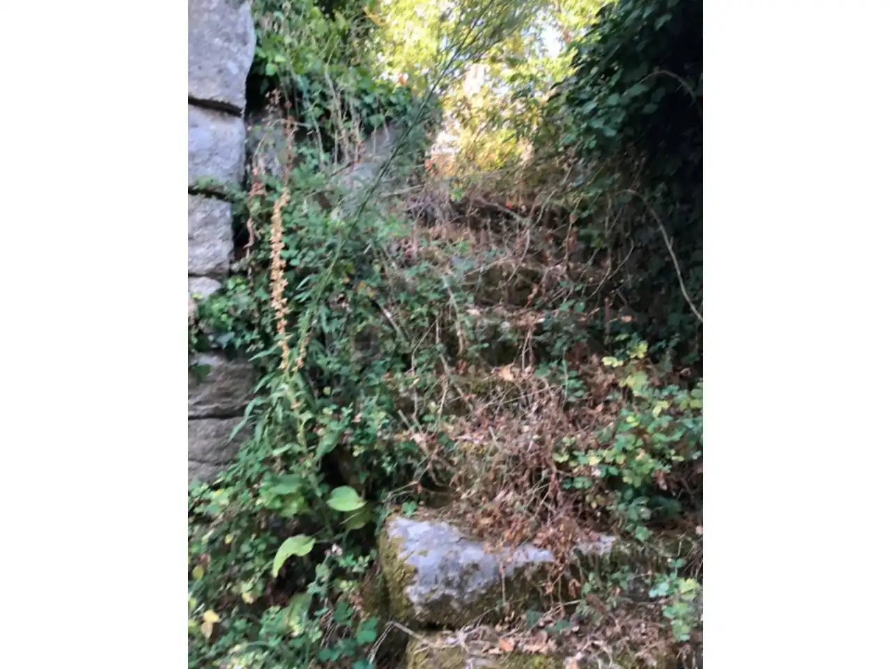 Casa amb jardí en venda a Entrimo, imagen 4