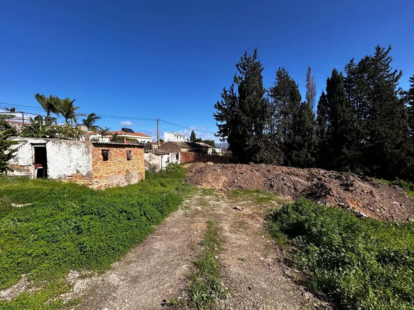 Rustikales Grundstück zum Verkauf in Calle Palomar, imagen 2