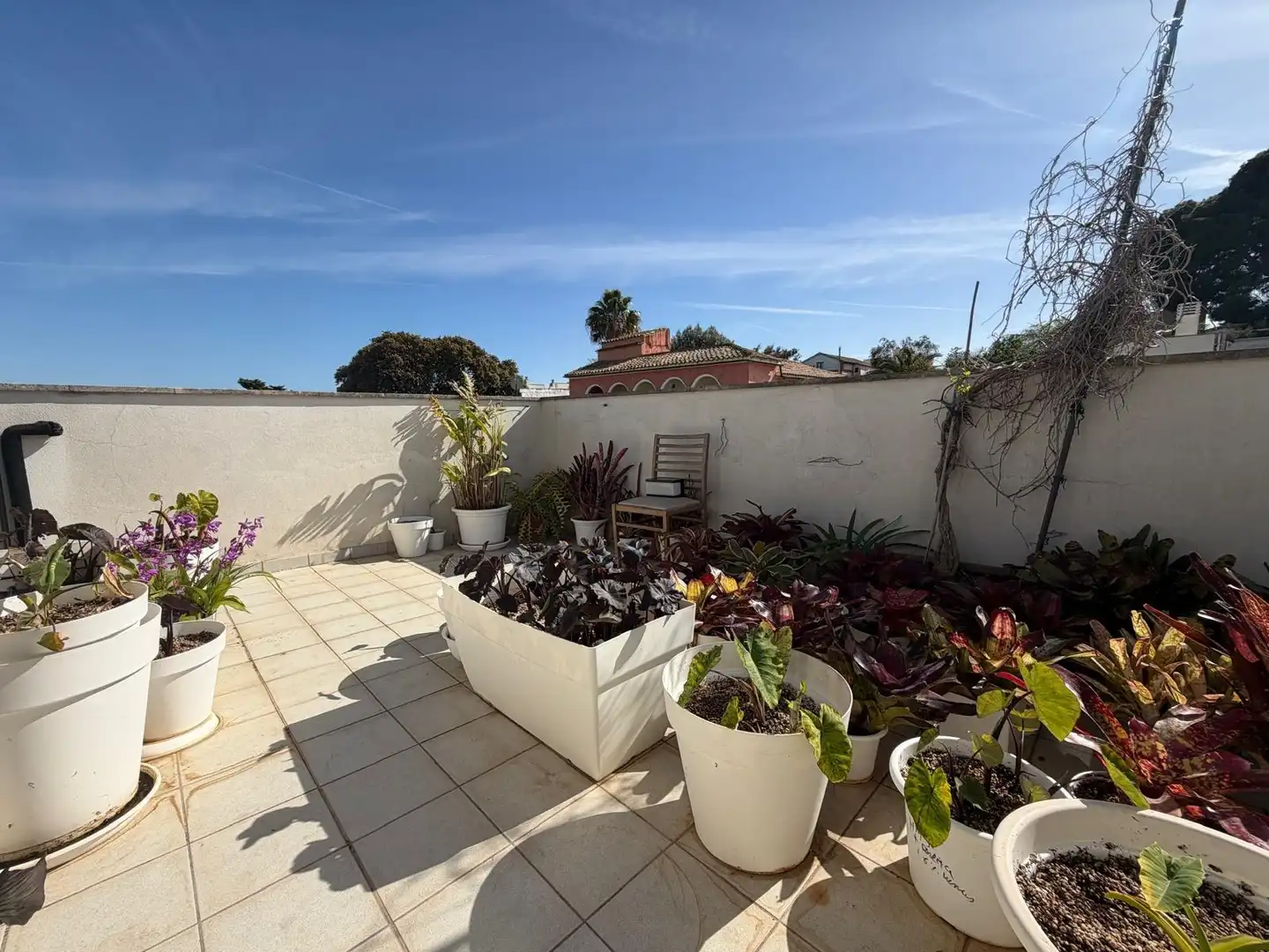 Terrassa de Casa adosada en venda en  Palma de Mallorca amb Aire condicionat, Calefacció i Jardí privat