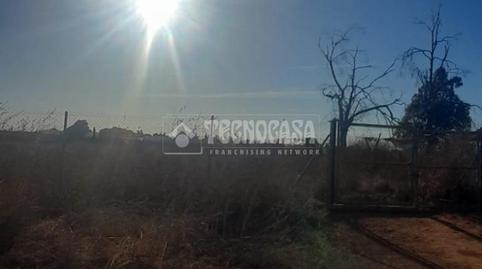 Foto 4 de Finca rústica en venda a Aznalcázar, Sevilla