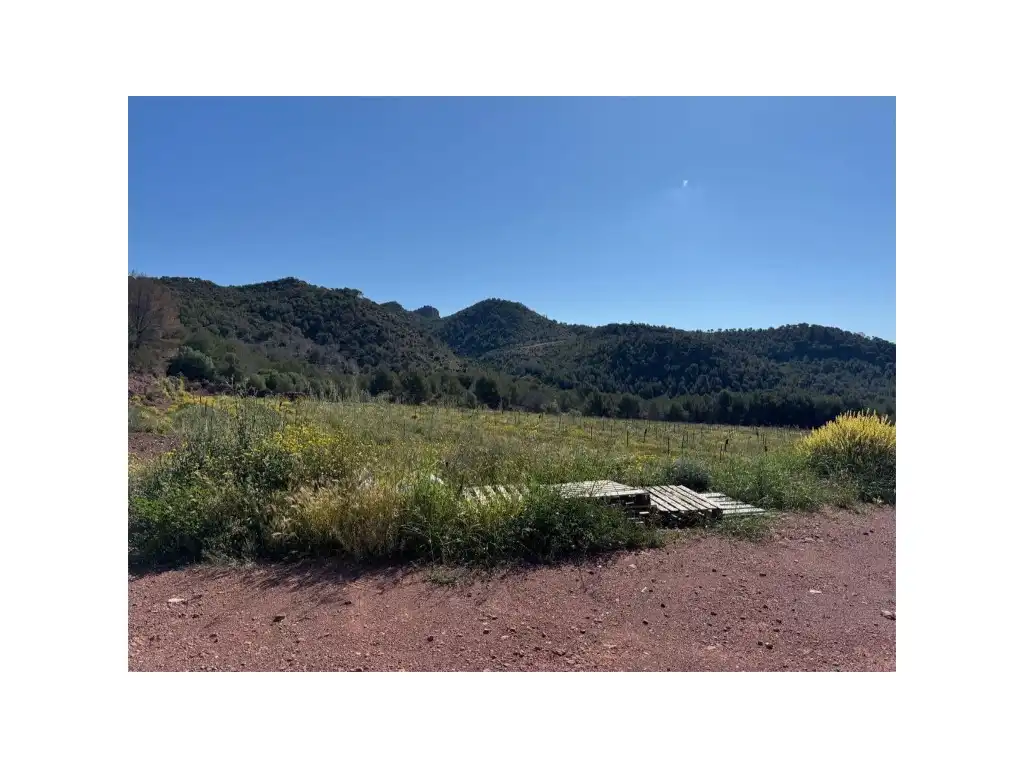 Casa o chalet en venta en Albalat dels Tarongers