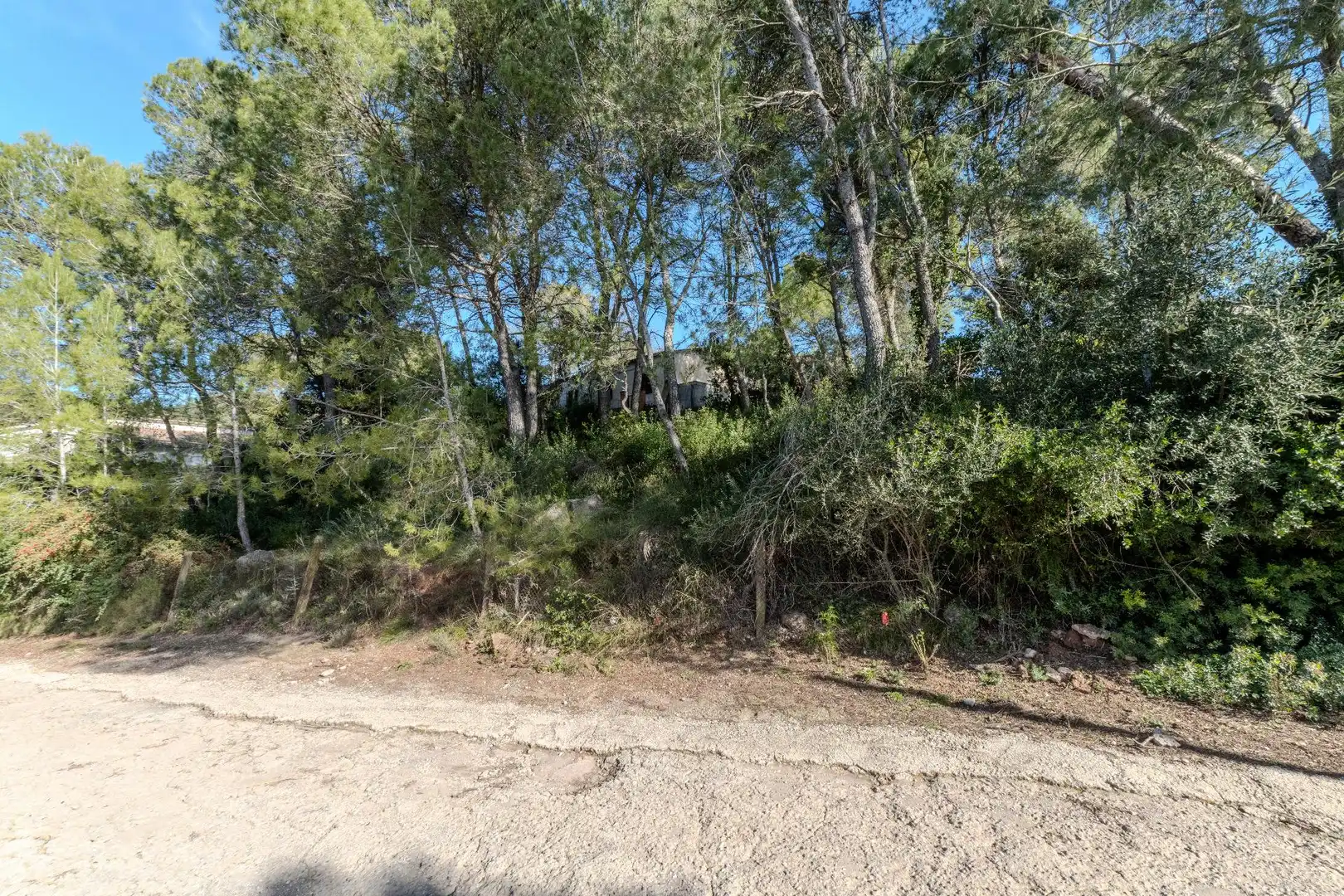 Lands and plots for sale in Castellbell i el Vilar, imagen 4