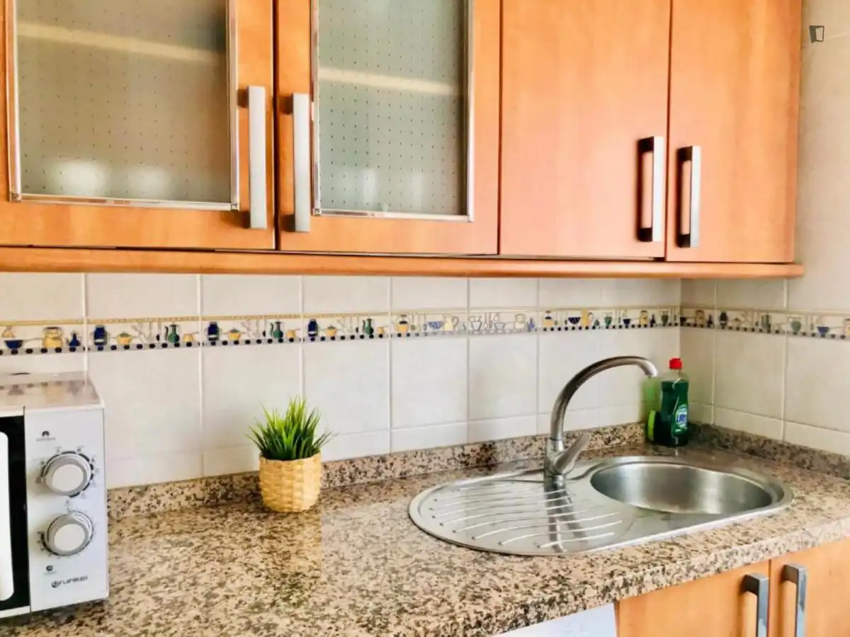 Kitchen of Apartments for rent in Málaga  with Air Conditioner, Furnished and Oven