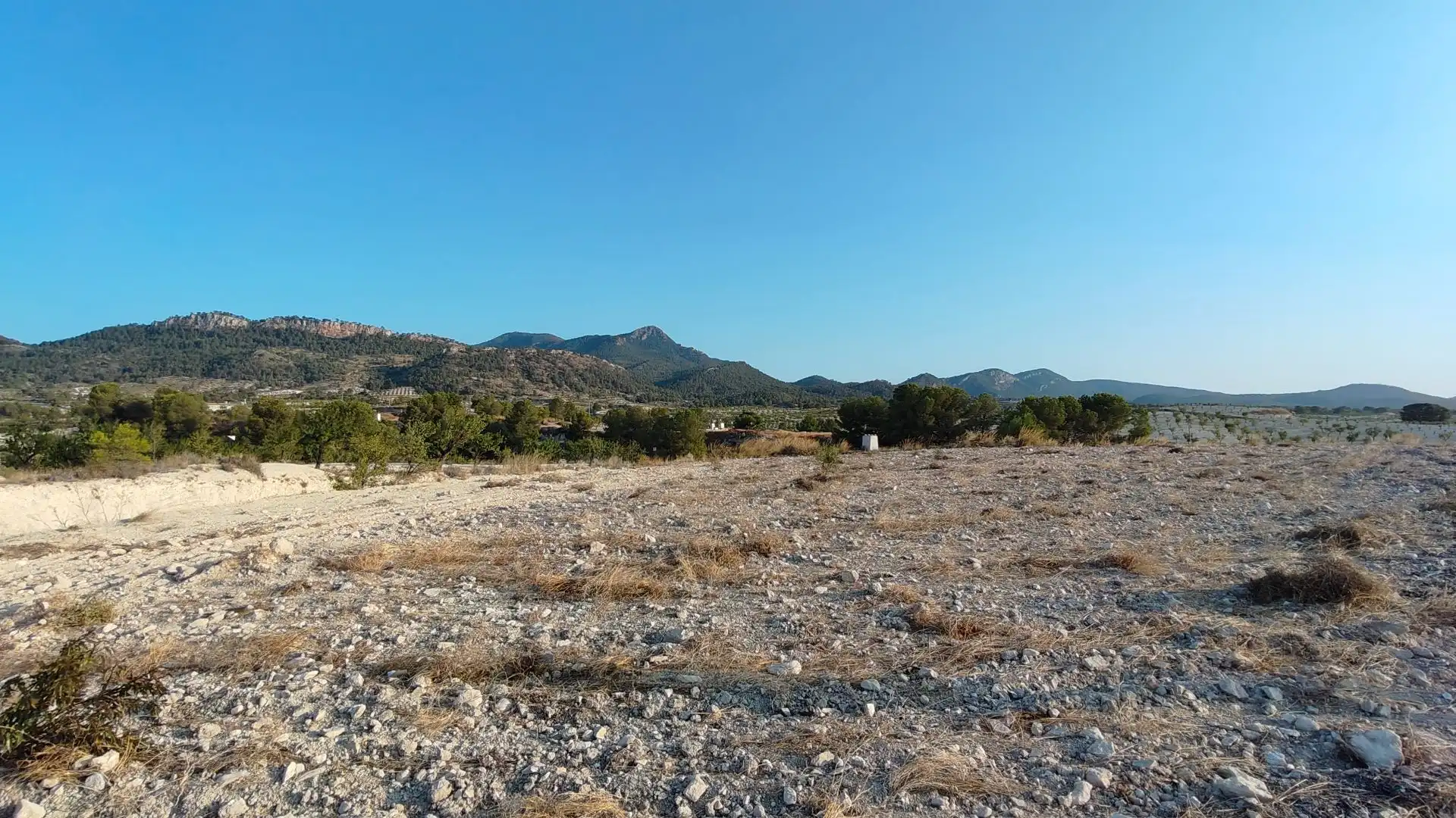 Terreno rustico in vendita a Jumilla
