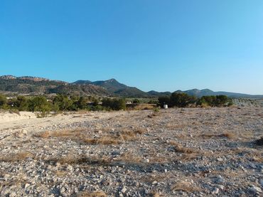 Terreny rústic en venda a Jumilla