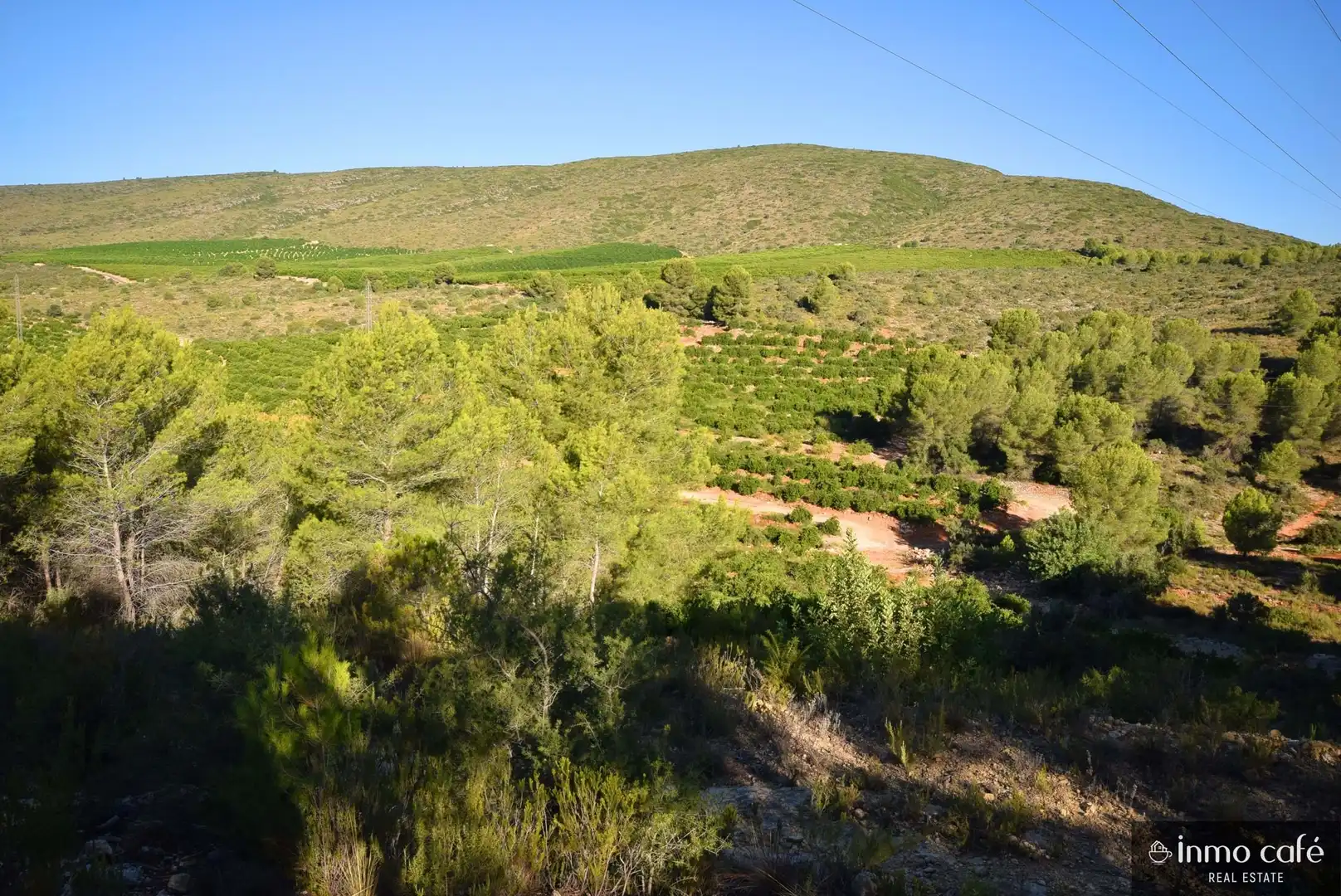 Terreny rústic en venda a L'Alcúdia de Crespins, imagen 16