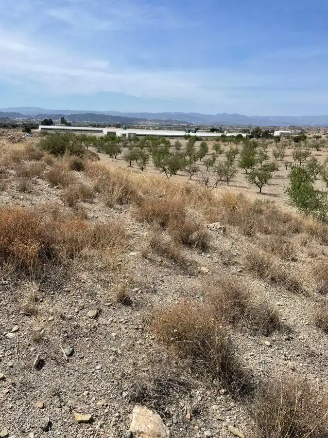 Terrain rustique à vendre à Huércal-Overa, imagen 4