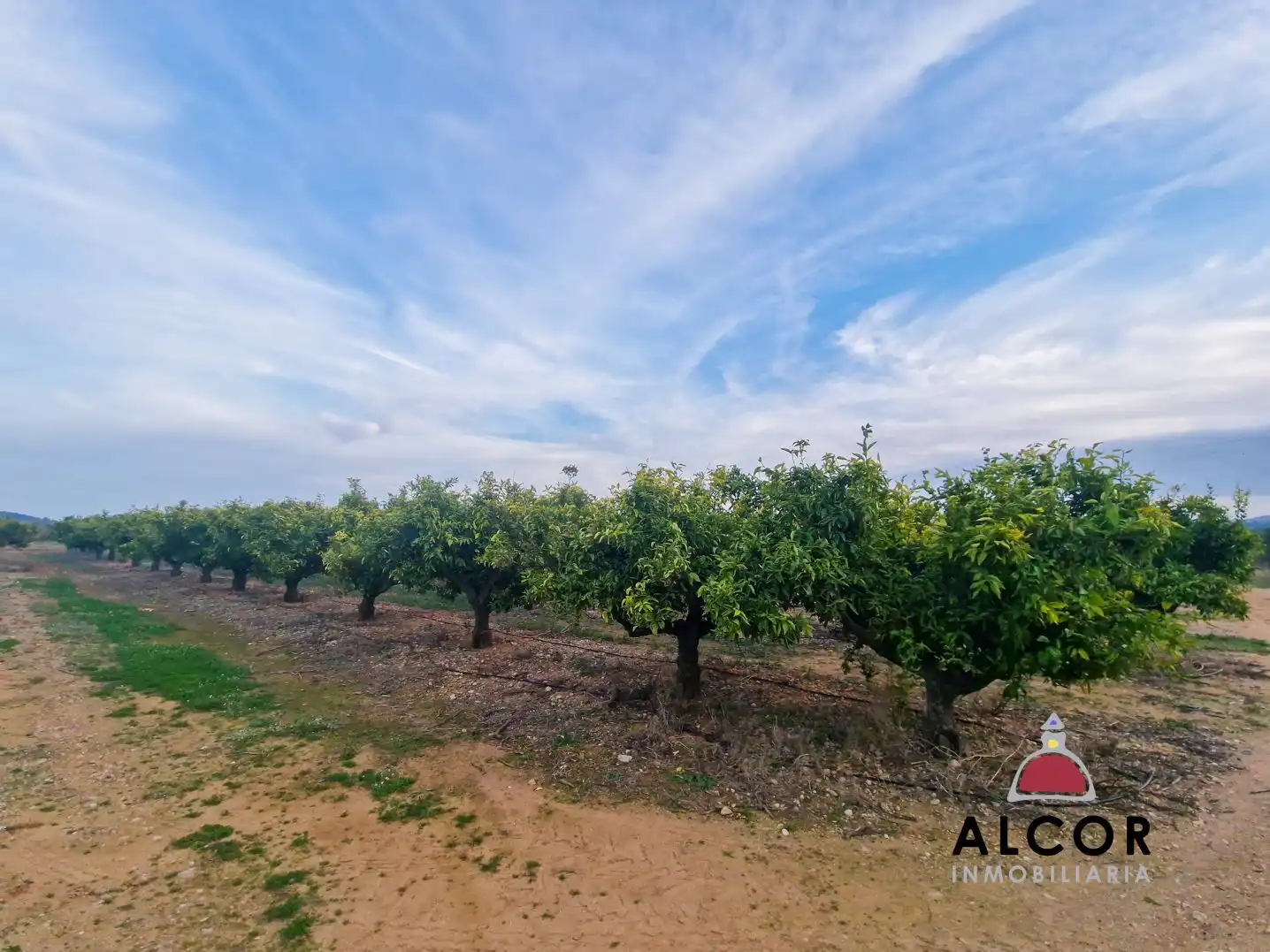 Finca rústica en venda en Càlig