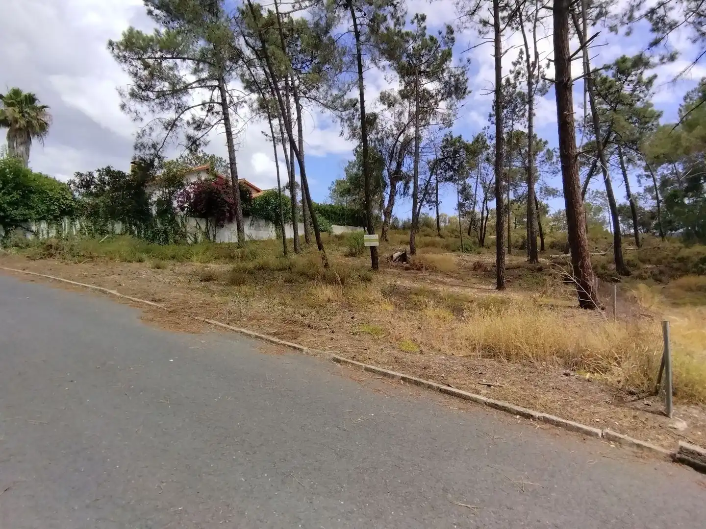 Terreni e lotti in vendita a Urbanizacion Urbanización Pinar de la Bota 27, imagen 3