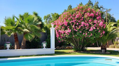 Pura sensación de finca  encantadora finca con piscina, jardín y casa de invitados, imatge 4