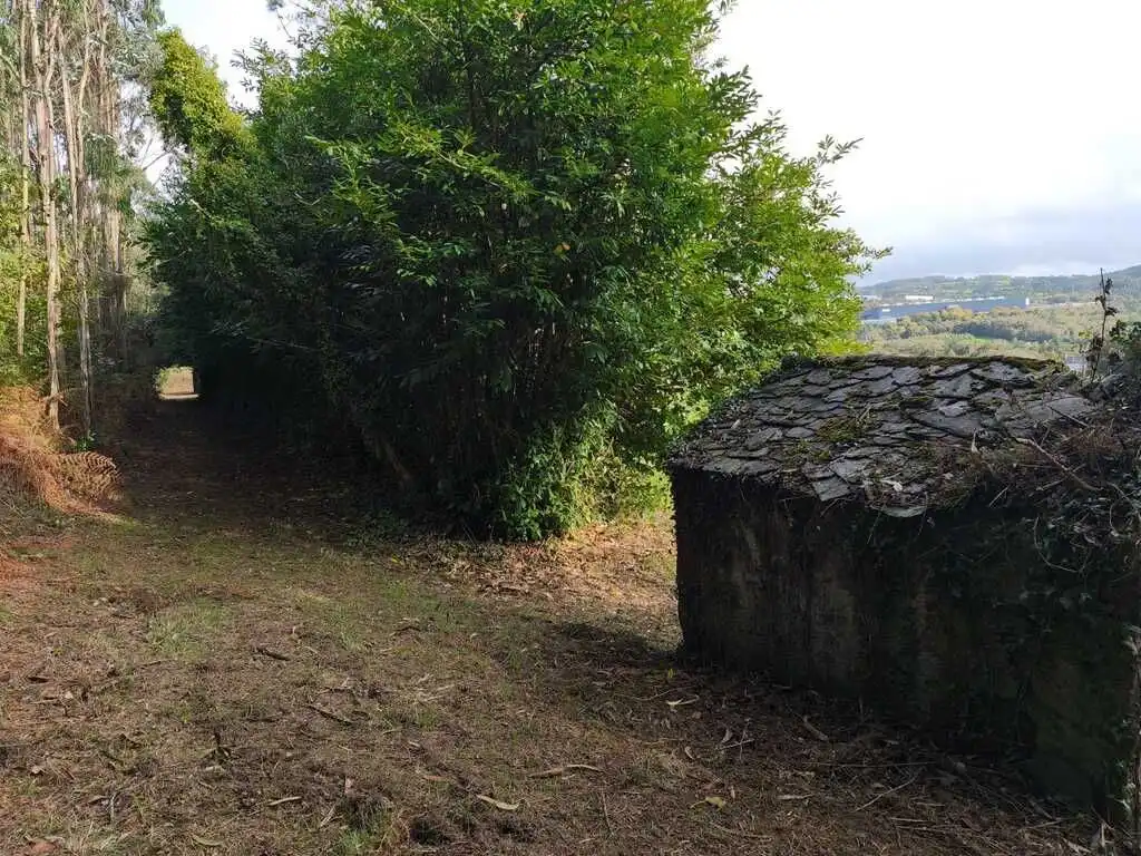 Finca rústica en venda en As Somozas  amb Terrassa i Traster