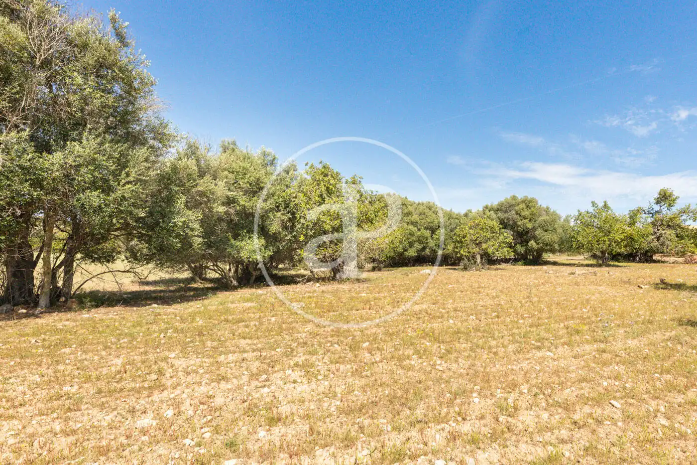 Residencial en venta en Felanitx