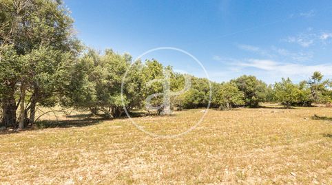 Foto 2 de Residencial en venta en S'Horta - Cas Concos des Cavaller - Es Carritxó, Felanitx