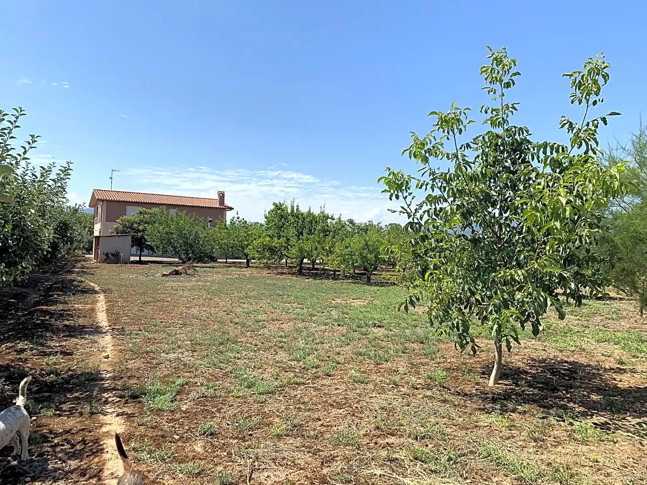 Casa o xalet en venda en  Logroño amb Calefacció, Parquet i Terrassa