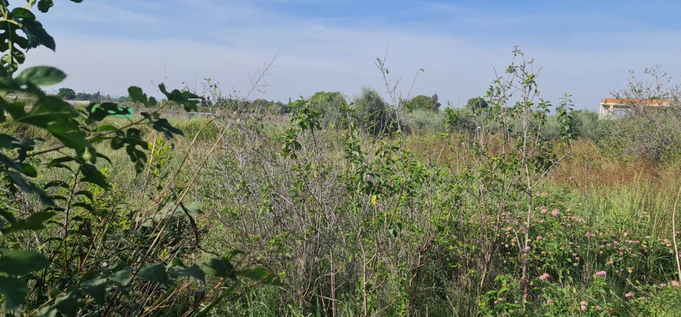 Terreno en venta en Molina de Segura