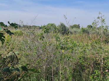 Terreno rustico in vendita a El Llano