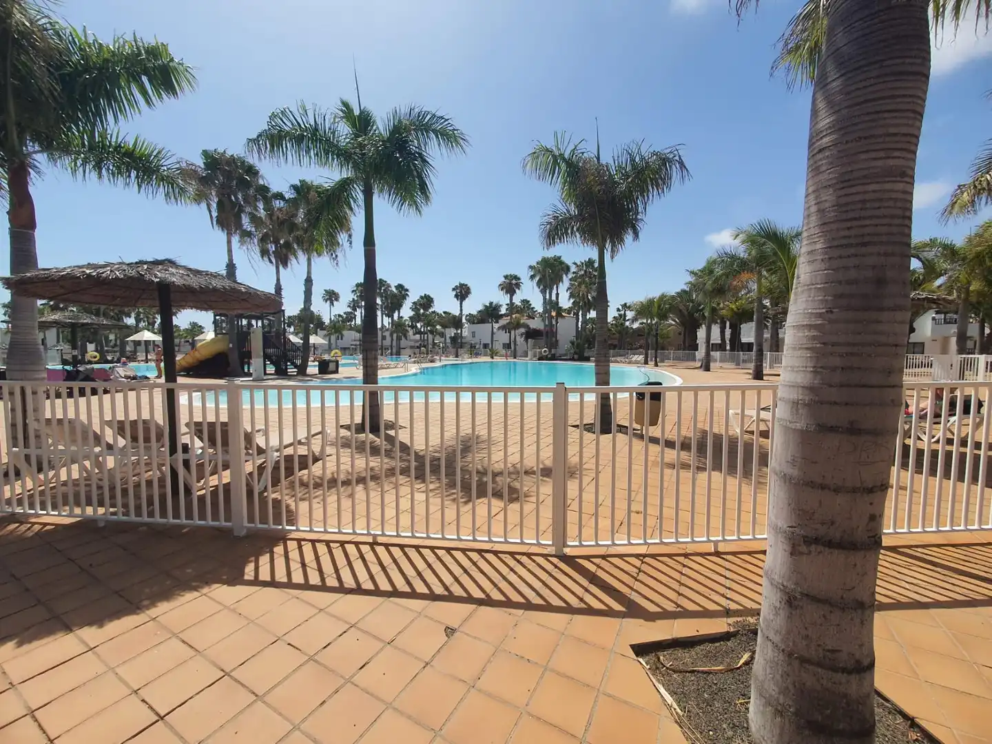 Swimming pool of Apartments for rent in La Oliva  with Air Conditioner, Terrace and Furnished