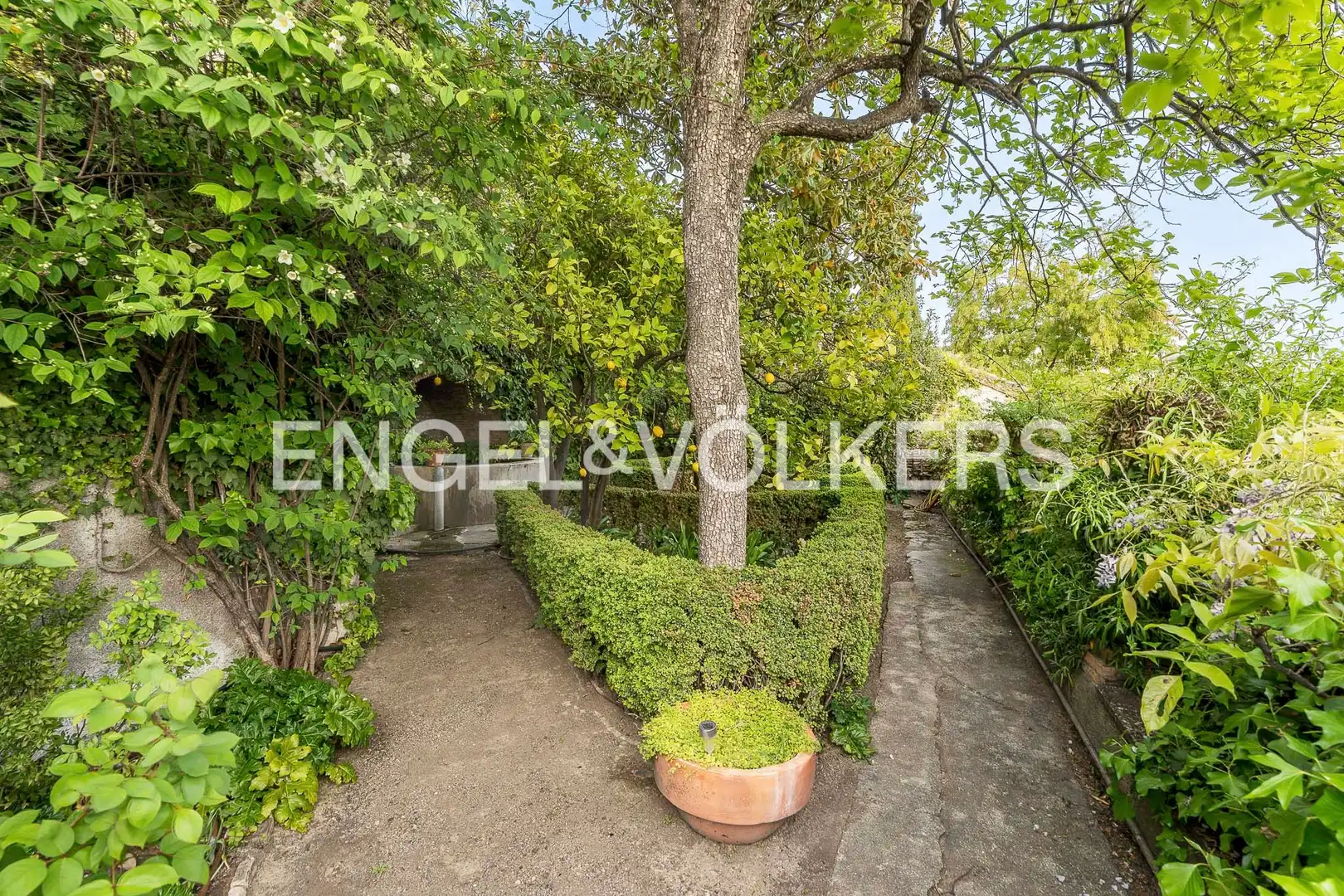 Casa con piscina en venta en Centro, imagen 29