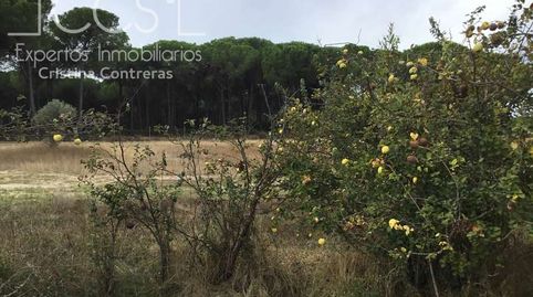 VENTA DE FINCA EN CONCESIÓN DE 9,8 HECTÁREAS CON CONSTRUCCIÓN en Almonte.