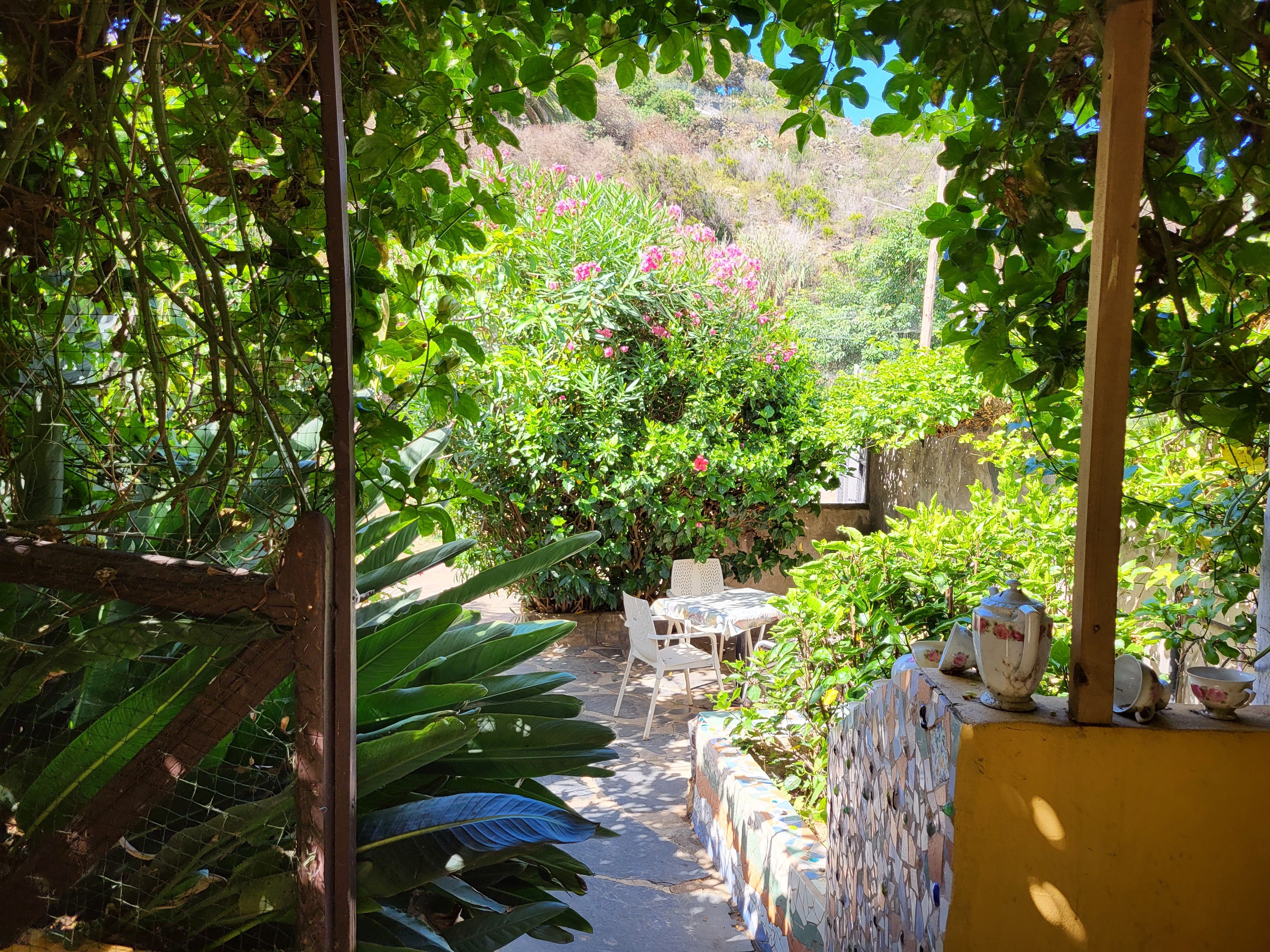 Jardí de Casa o xalet en venda en La Guancha amb Terrassa, Traster i Moblat