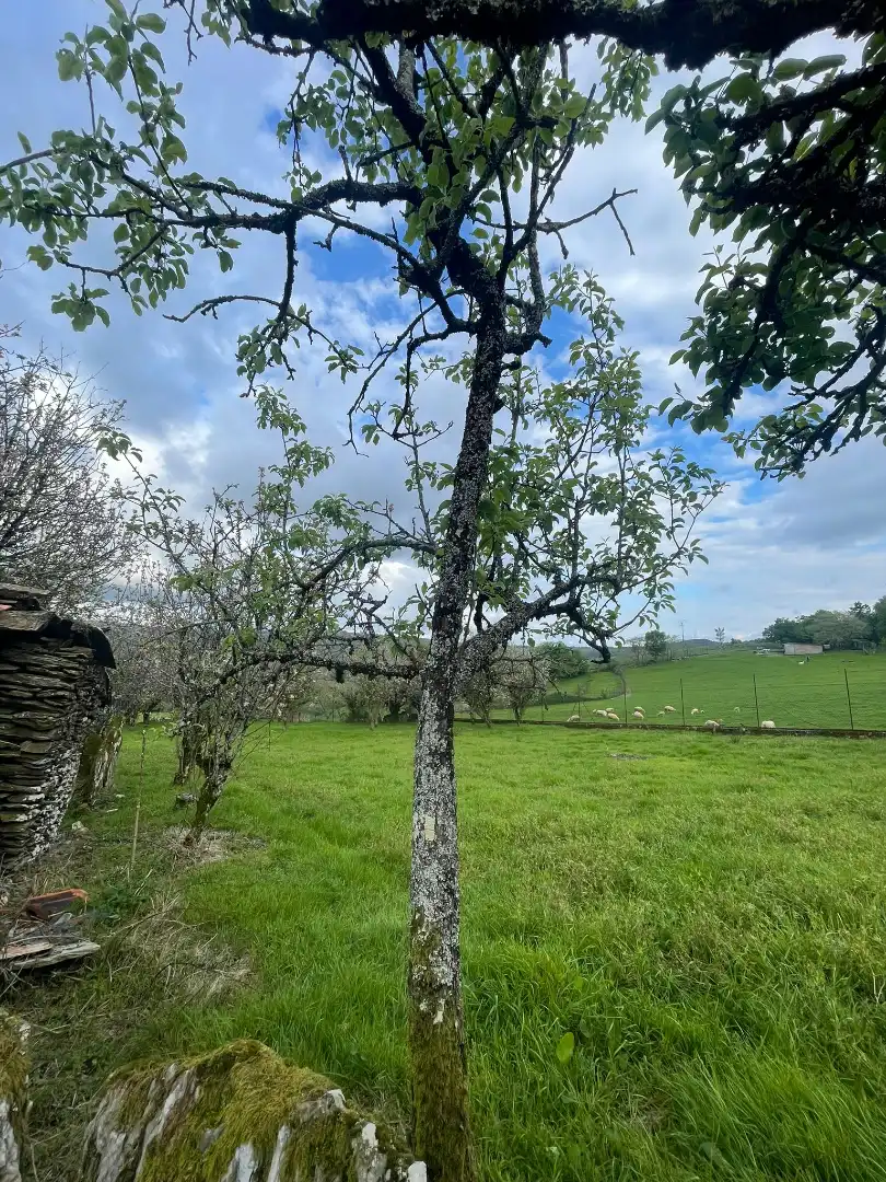 Finca rústica en venda en O Irixo amb Calefacció, Jardí privat i Parquet