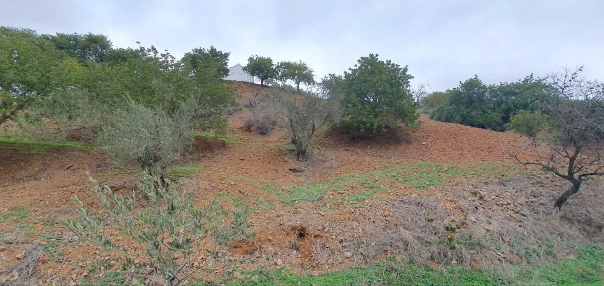 Terreni e lotti in vendita a Cártama pueblo, imagen 15