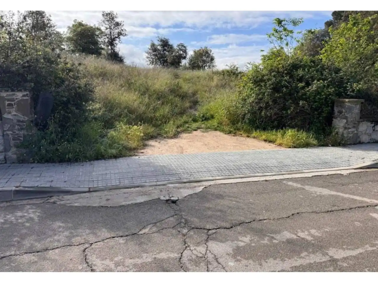 Terrain rustique à vendre à Calle Cedre, imagen 2