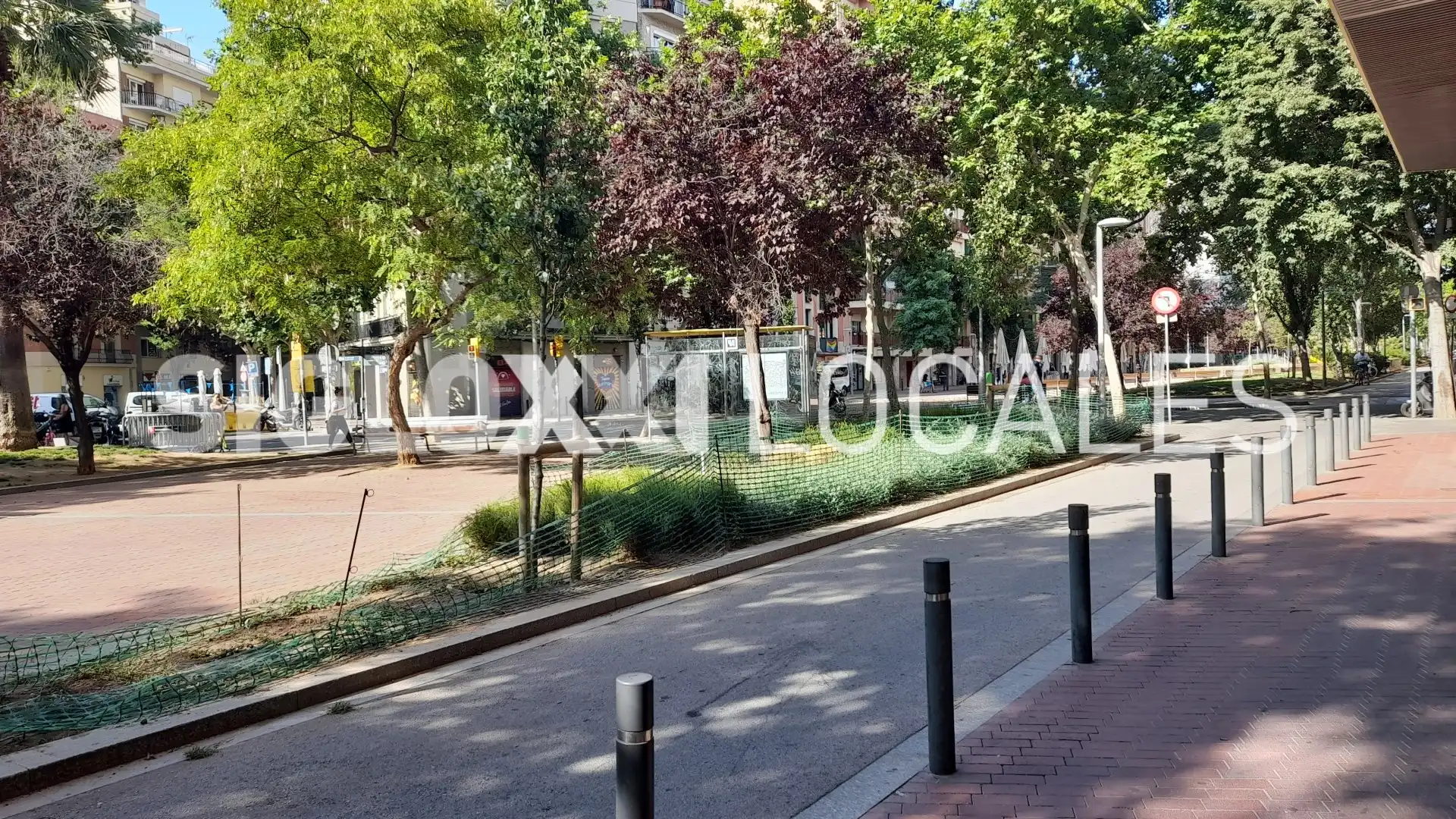 Local comercial en venta en FLORIDABLANCA, imagen 19