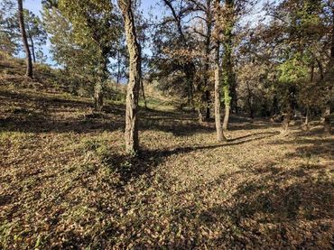 Terreno residenziale in vendita a Bescanó
