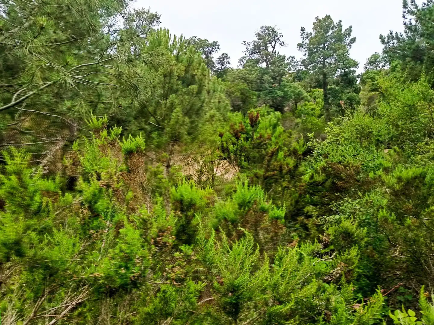 Lands and plots for sale in Llagostera, imagen 4