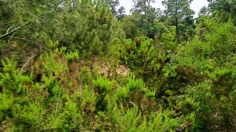Parcela con magnificas vistas, immagine 4
