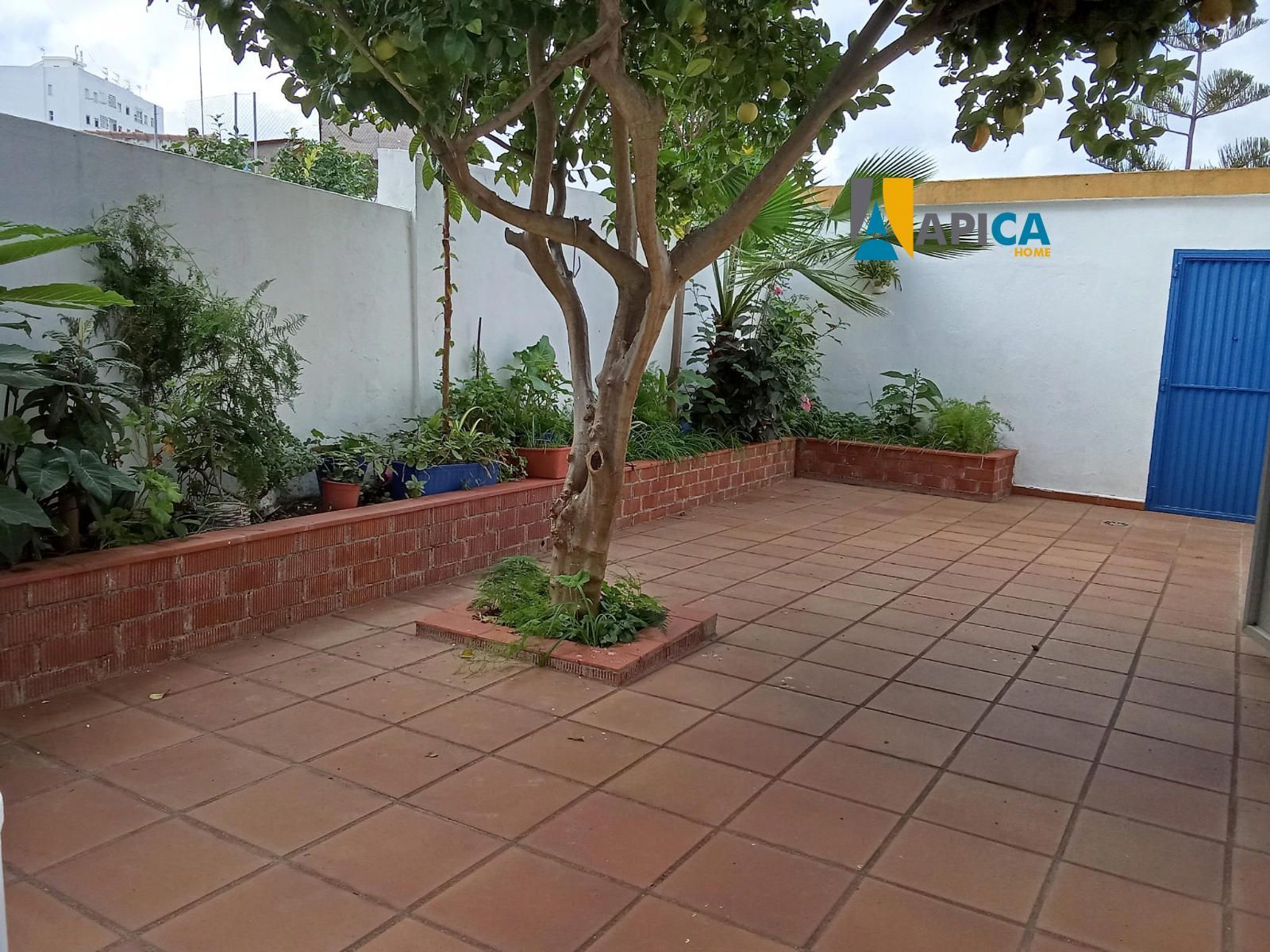 Terrassa de Casa o xalet en venda en San Roque amb Traster