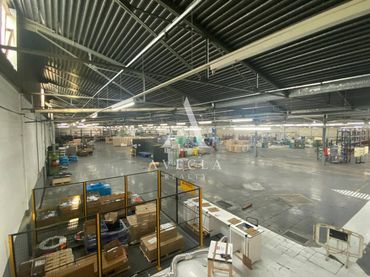 Nave industrial in affitto a Avenida Esport 1